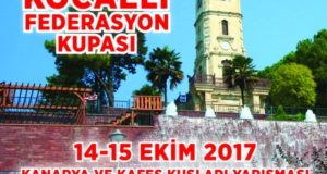 Kocaeli federasyon kupası 2017 yarışması