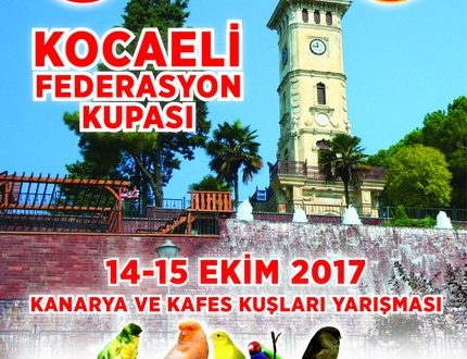 Kocaeli federasyon kupası 2017 yarışması