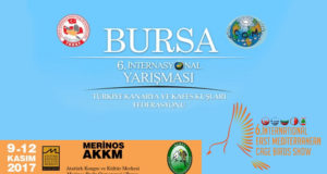 IEMCBS 2017 Bursa (Enternasyonal) Yarışması