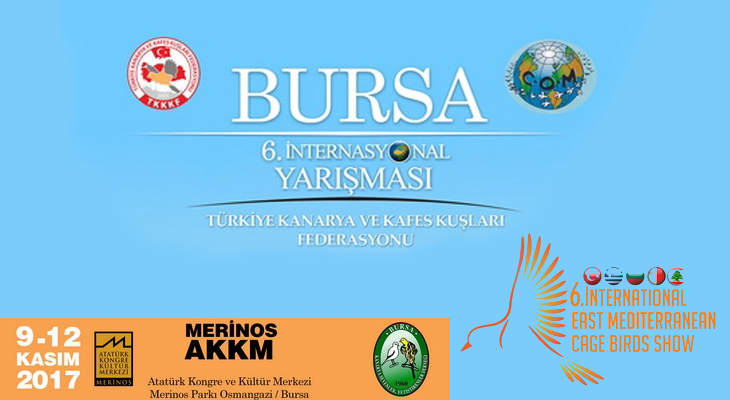 IEMCBS 2017 Bursa (Enternasyonal) Yarışması